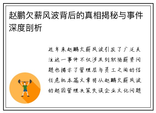 赵鹏欠薪风波背后的真相揭秘与事件深度剖析